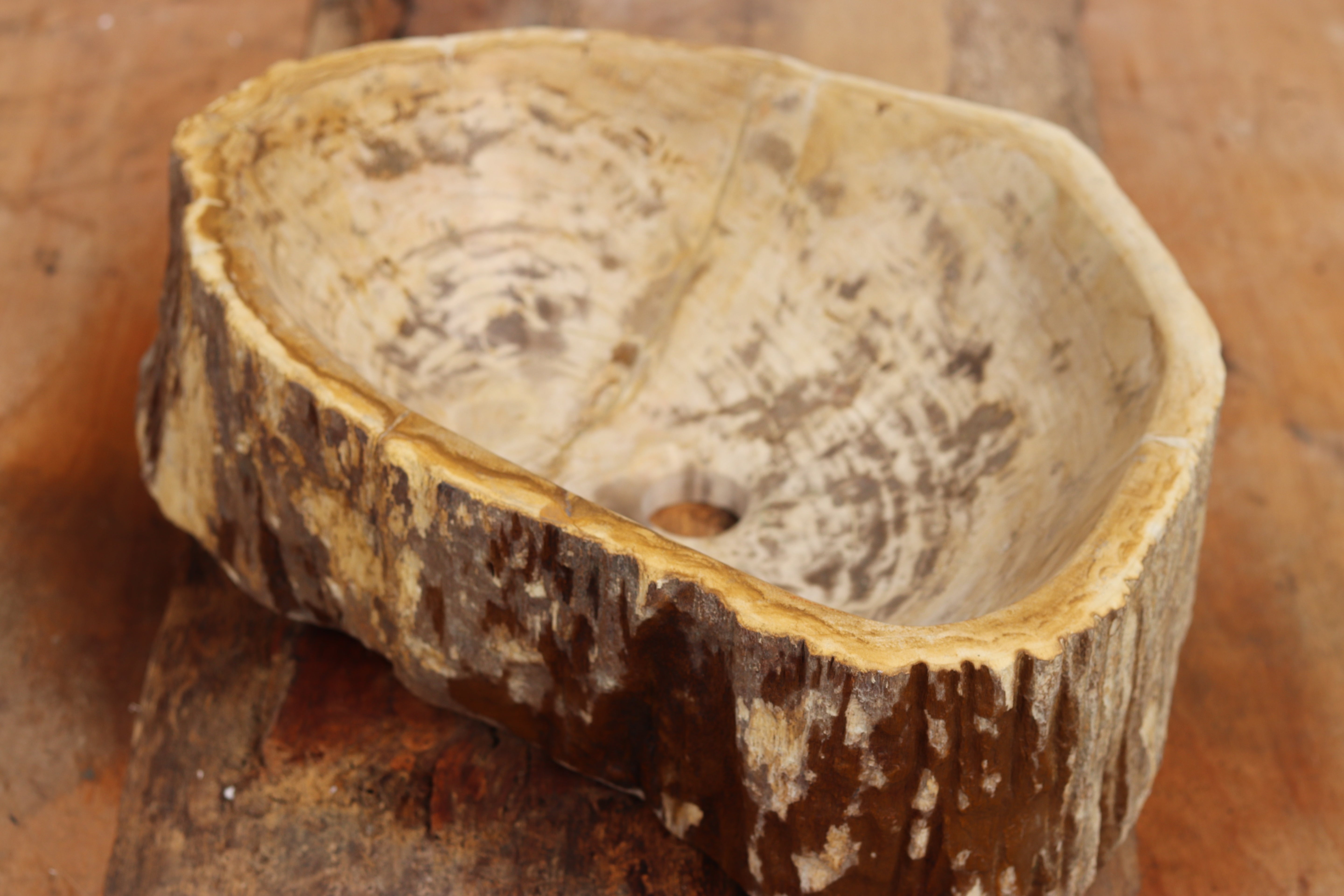 PETRIFIED WOOD | Countertop Basin | www.naturallyofearth.co.uk