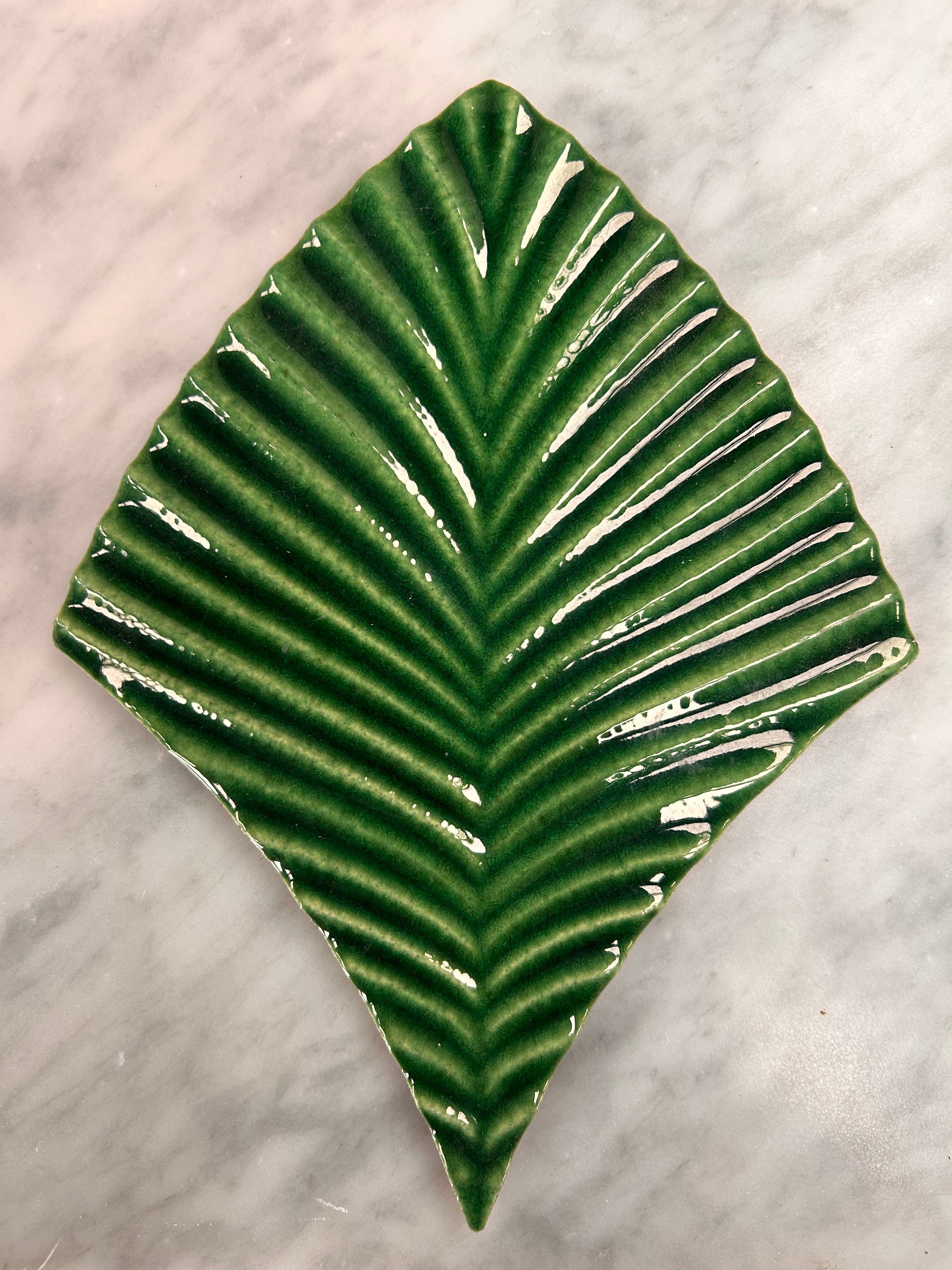 Deep in the Jungle Range | Wall Tiles | Contact Us