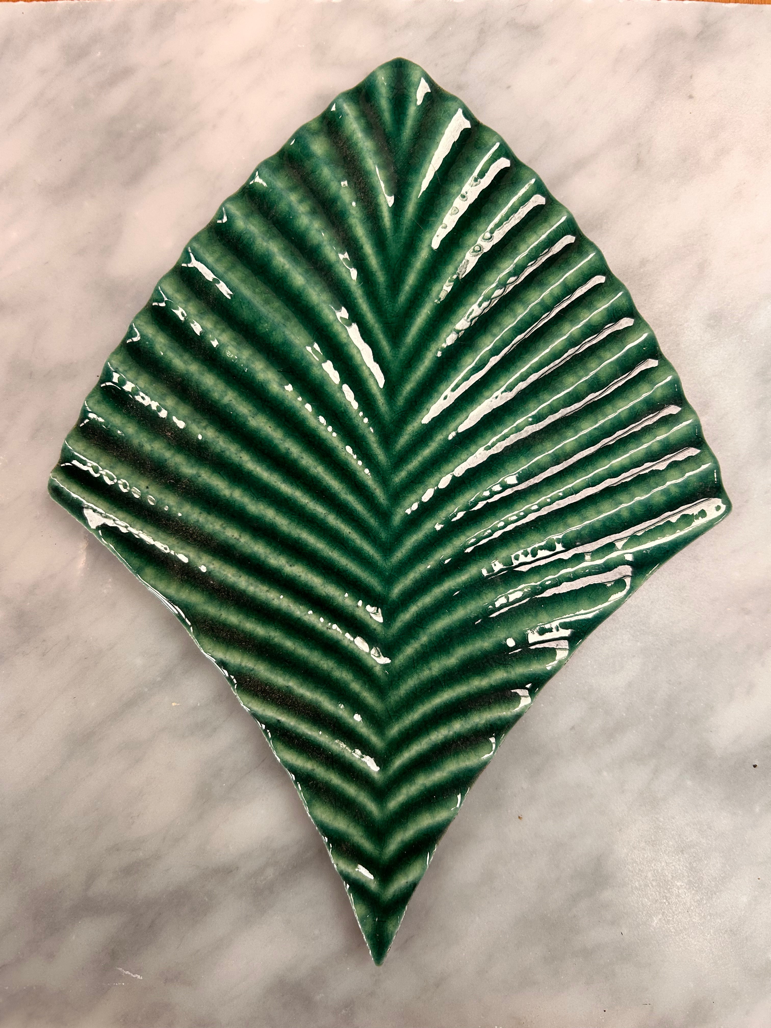 Deep in the Jungle Range | Wall Tiles | Contact Us