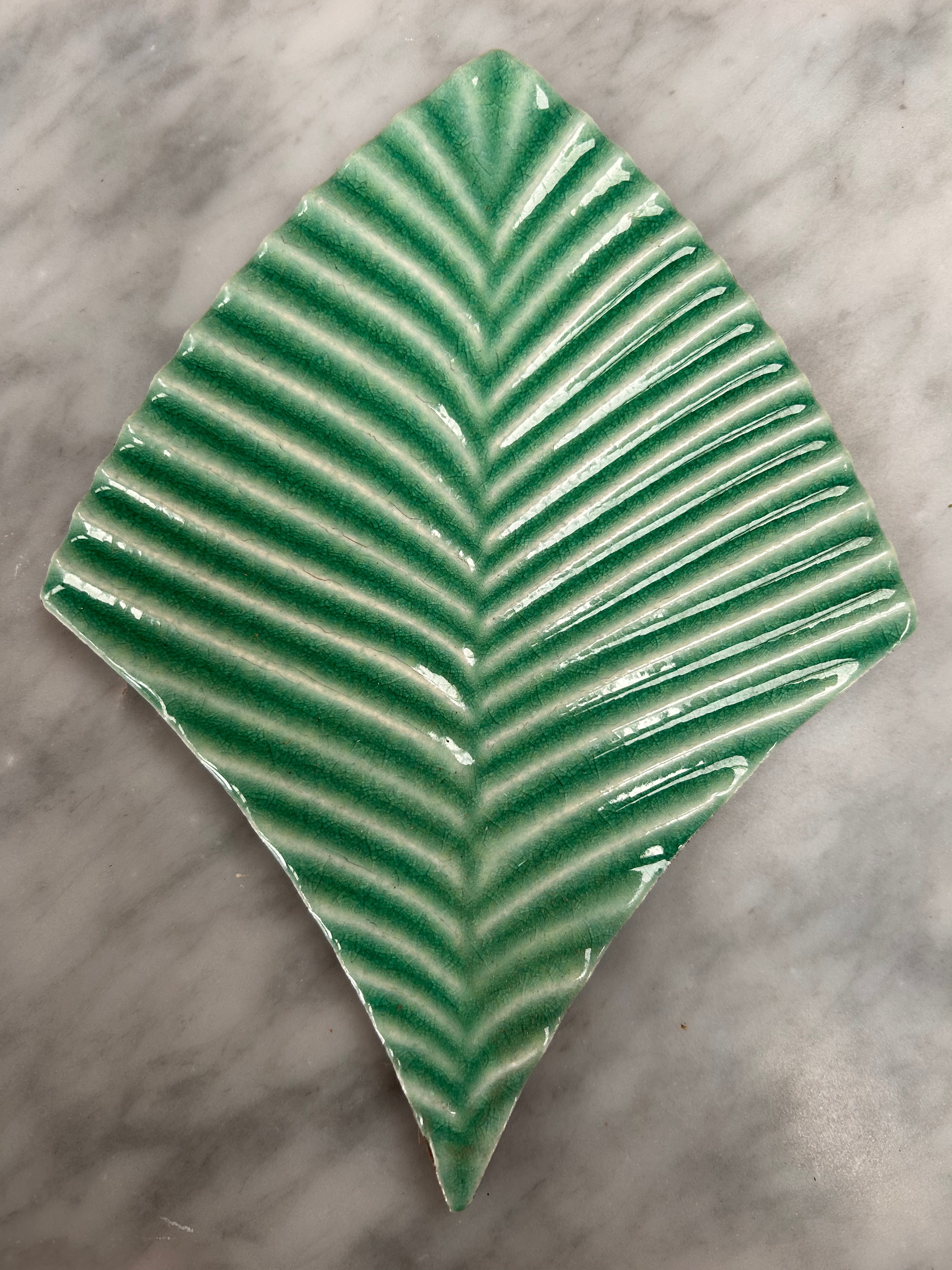 Deep in the Jungle Range | Wall Tiles | Contact Us