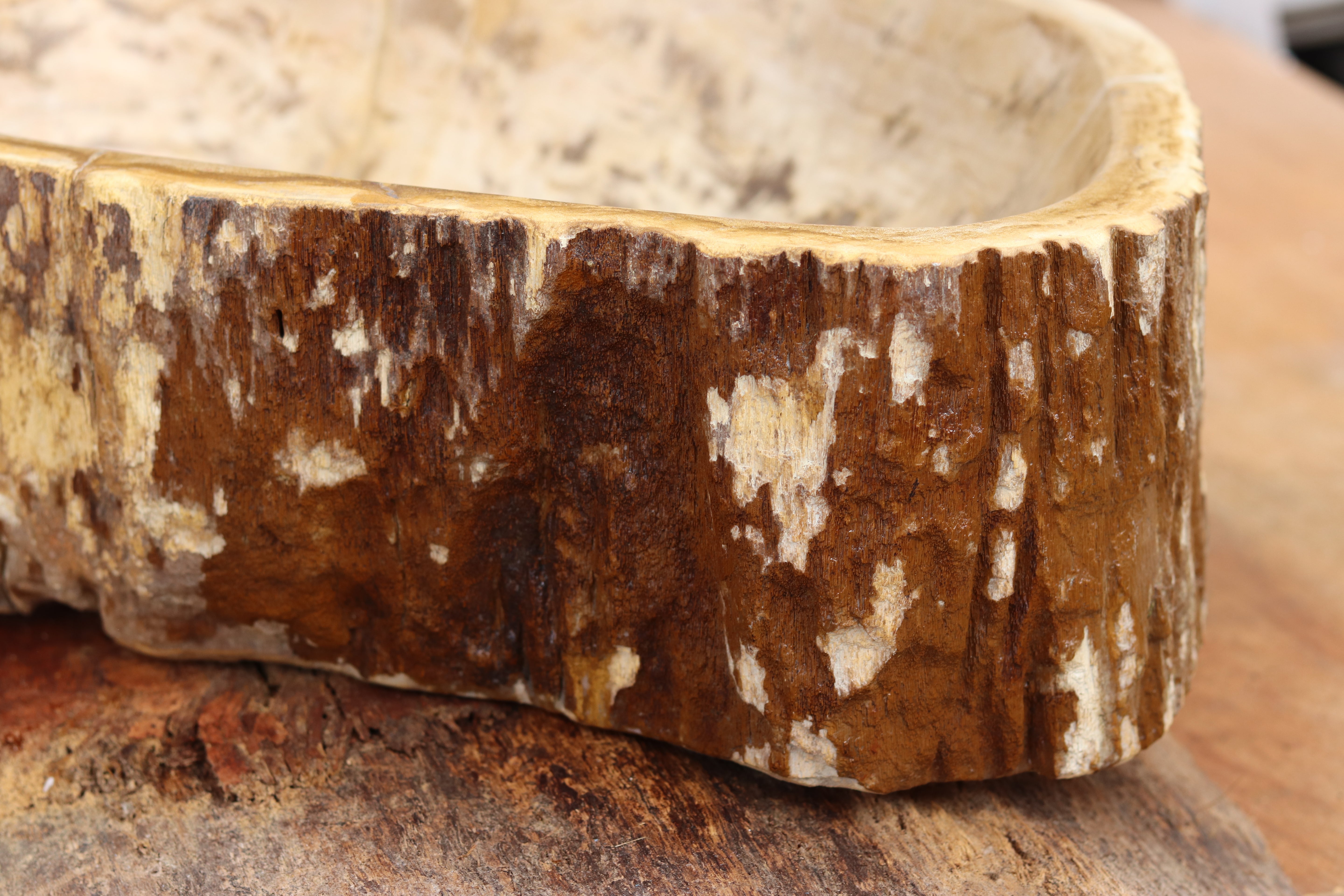 PETRIFIED WOOD | Countertop Basin | www.naturallyofearth.co.uk