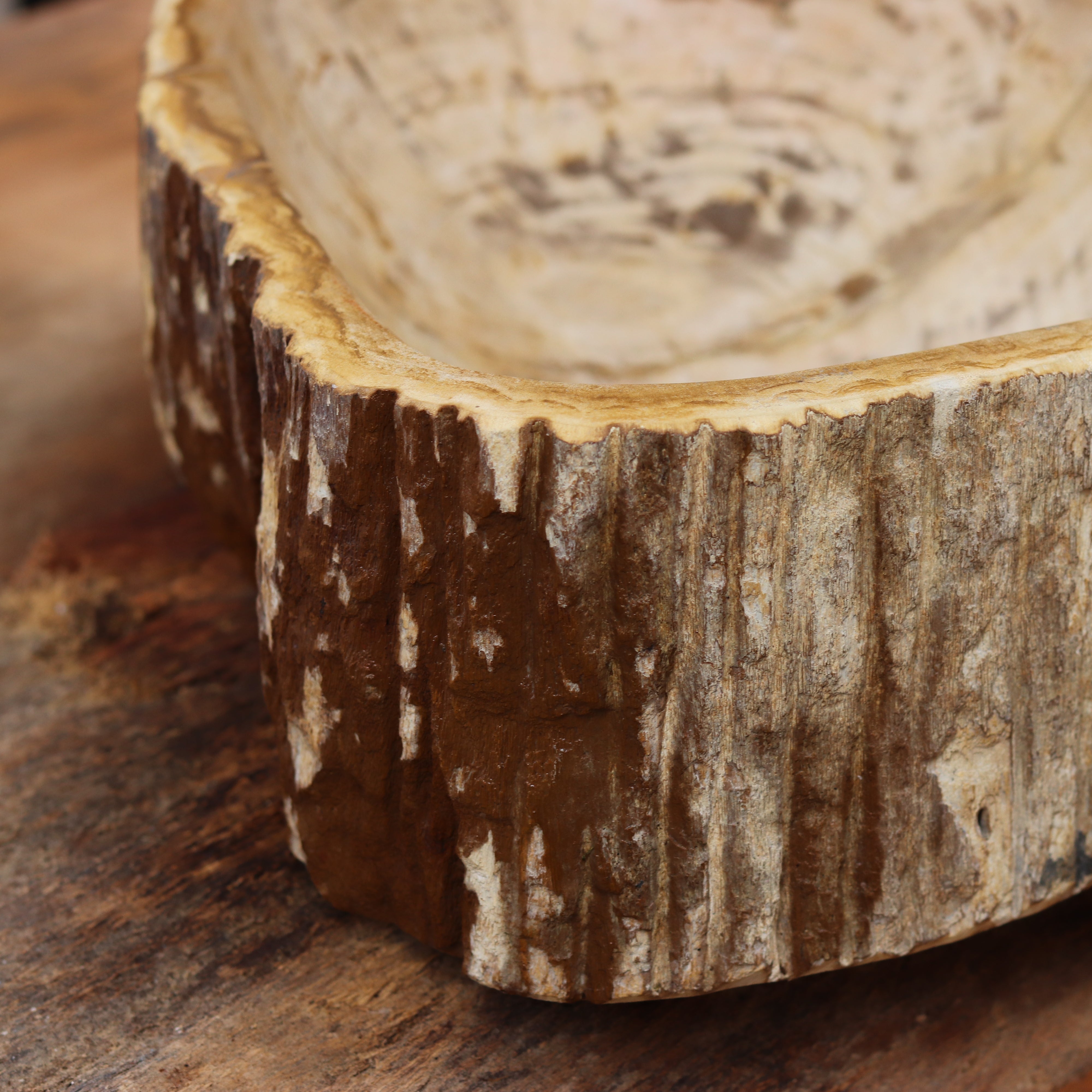 PETRIFIED WOOD | Countertop Basin | www.naturallyofearth.co.uk