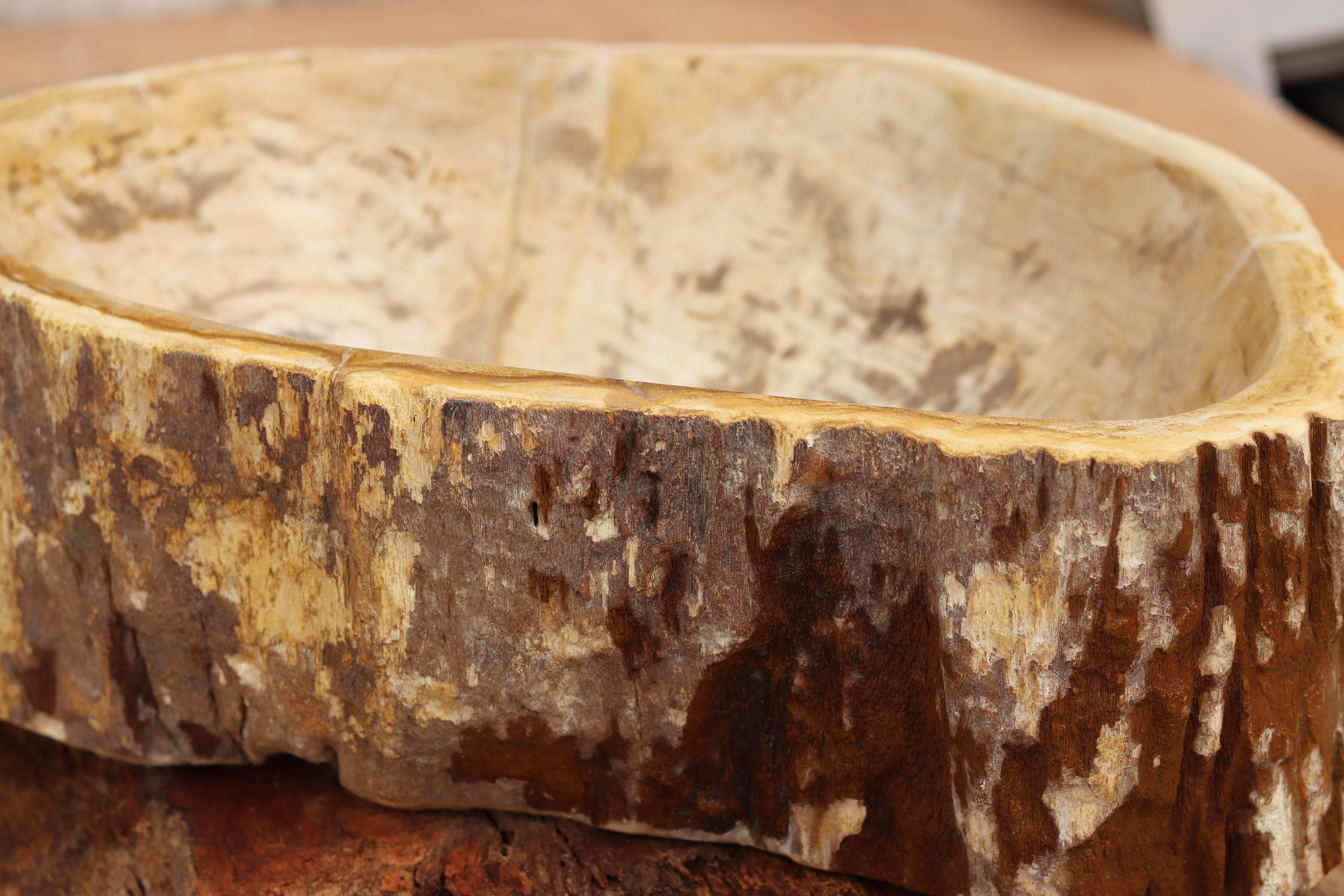 PETRIFIED WOOD | Countertop Basin | www.naturallyofearth.co.uk