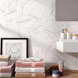 Marble Porcelian | 200x240mm | Wall & Floor tile