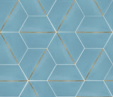 Pellucid Sky Hexagon Brass Inlay | Handmade | Encaustic Cement Tile