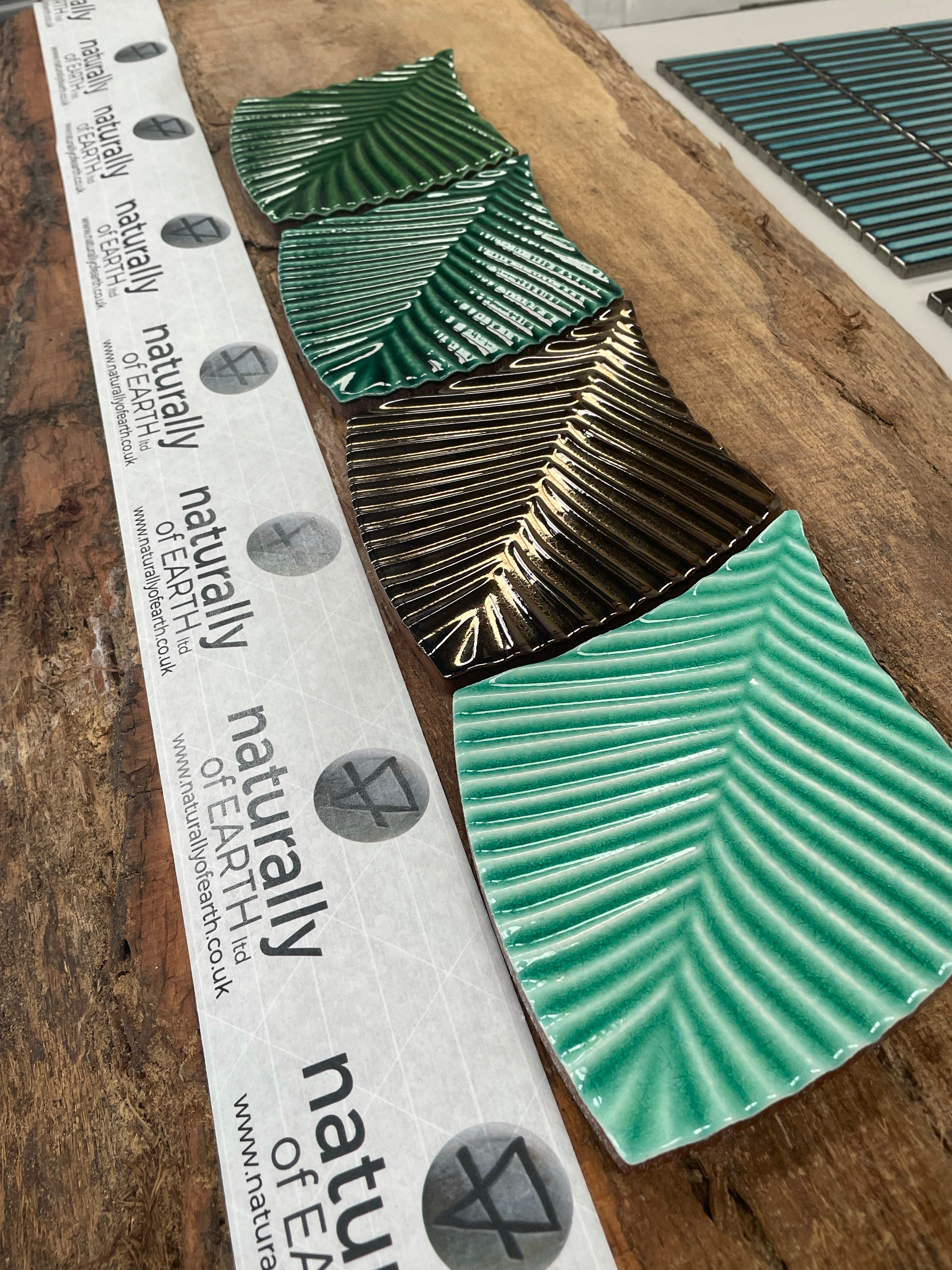 Deep in the Jungle Range | Wall Tiles | Contact Us